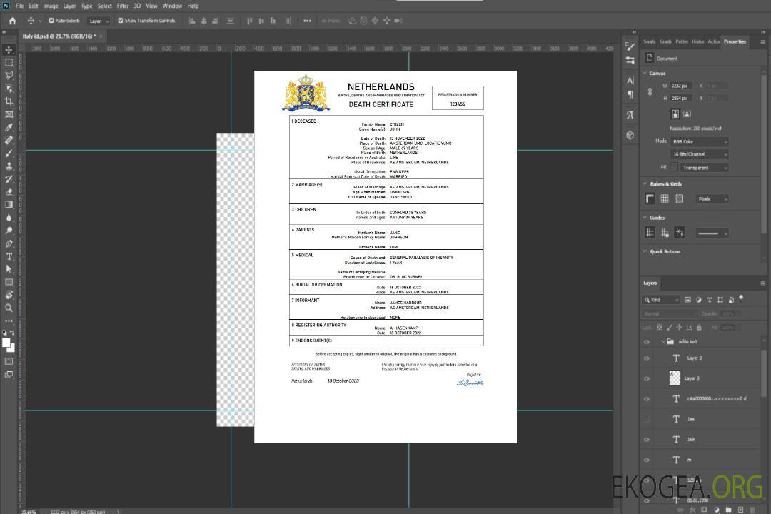 Modèle Word et PDF de certificat de décès de l'état civil des Pays-Bas template